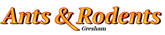 Gresham Ant Exterminator & Rodent Control Company Logo